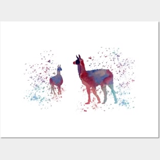 Llamas Posters and Art